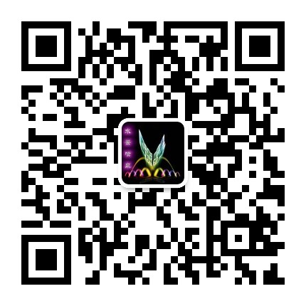 云南噴泉網(wǎng)——云南噴泉設(shè)計(jì)施工及維修廠(chǎng)家