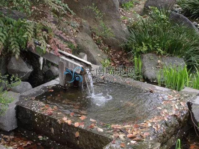 讓庭院更有仙風(fēng)道骨之氣的水景工程