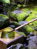 讓庭院更有仙風(fēng)道骨之氣的水景工程