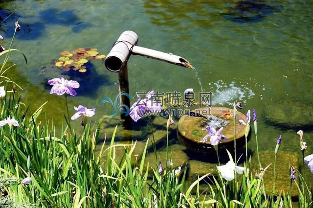 讓庭院更有仙風(fēng)道骨之氣的水景工程