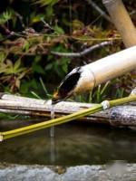 讓庭院更有仙風(fēng)道骨之氣的水景工程